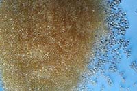 漂萊特A500 漂萊特陰樹(shù)脂A500【強(qiáng)堿性陰離子樹(shù)脂】