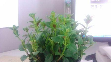 尋求市場份額與投資收益平衡 水處?理正處成長期